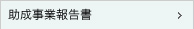 助成事業報告書